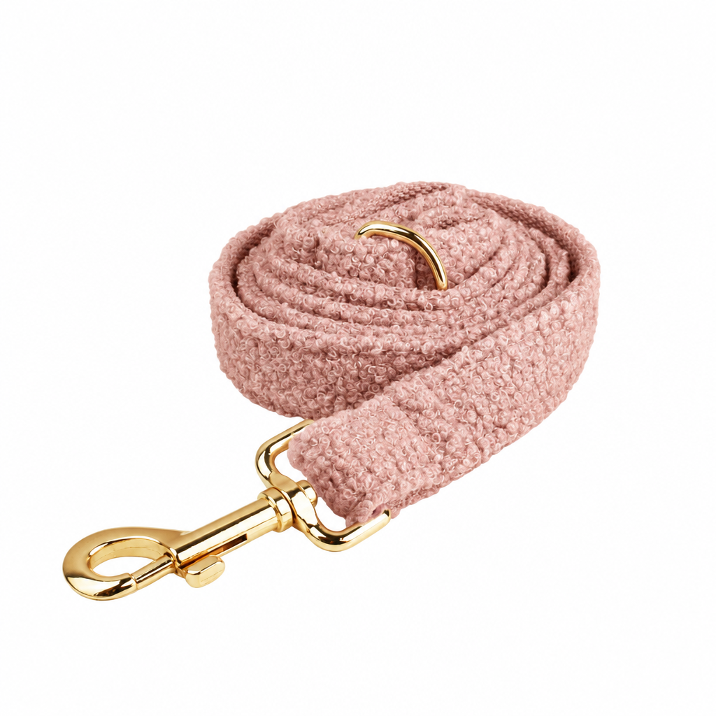Pink coiled leash