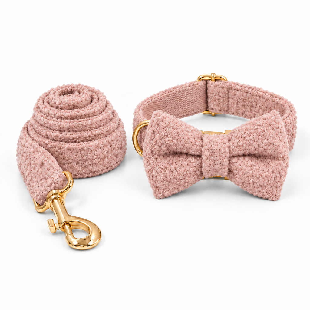 Pink collar and leash set