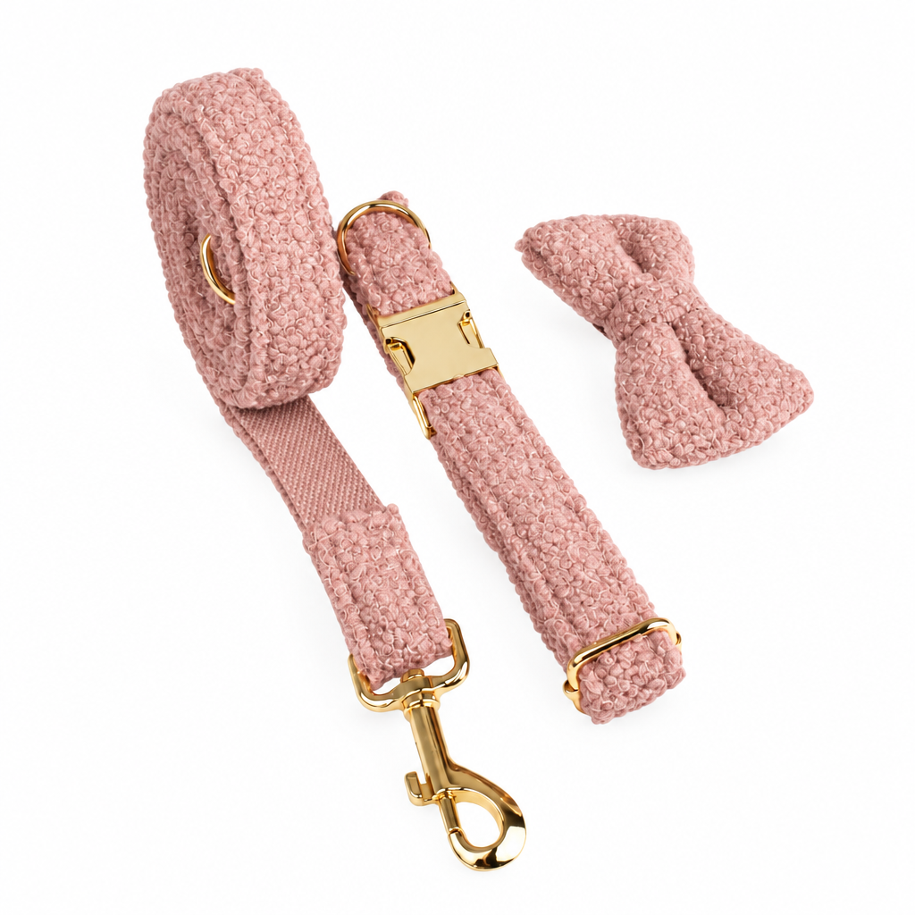 Pink collar, leash and separate bow