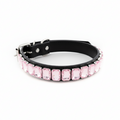 Black pet collar featuring a row of pale pink rectangular rhinestones on a white background.