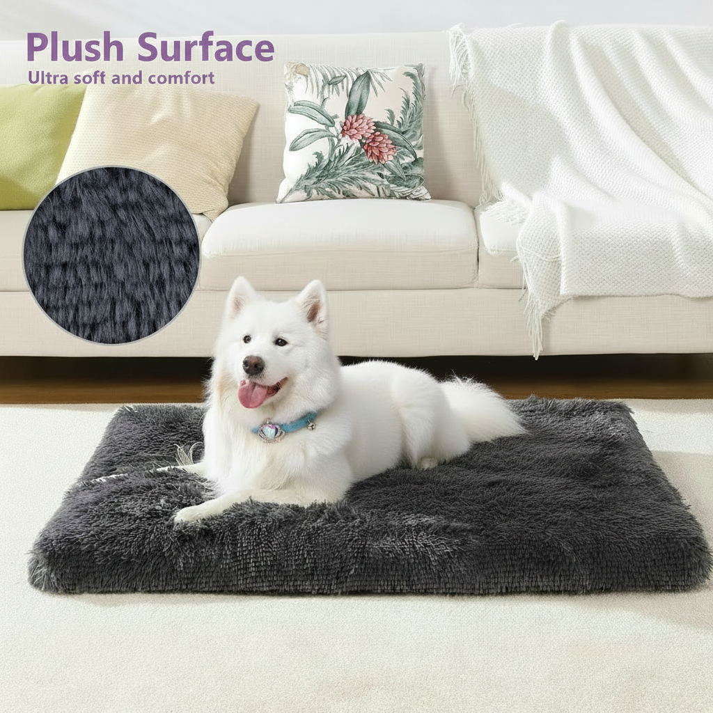 Feature infographic showing a white Samoyed wearing a teal collar lying on a dark charcoal grey long shaggy faux fur flat rectangular pet bed mat on a cream rug in front of a white upholstered sofa, with lavender text reading Plush Surface — Ultra soft and comfort, and a close-up inset of the dark grey plush fur texture