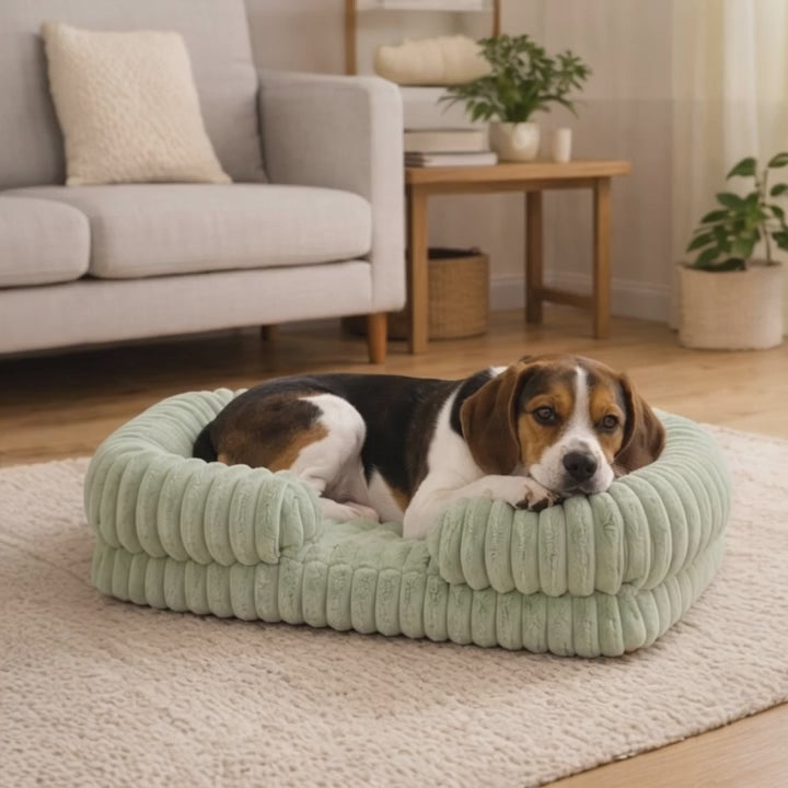 Dog laying on a green luxury pet bed
