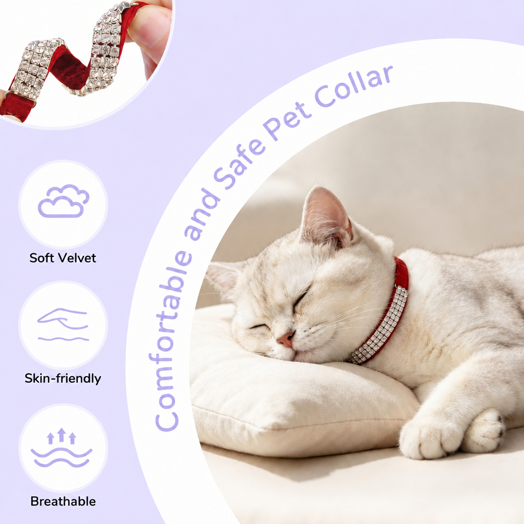Red-collar version, lavender palette