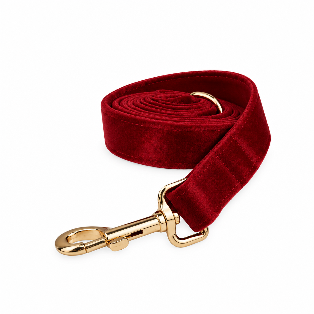 Red velvet coiled leash with gold hardware