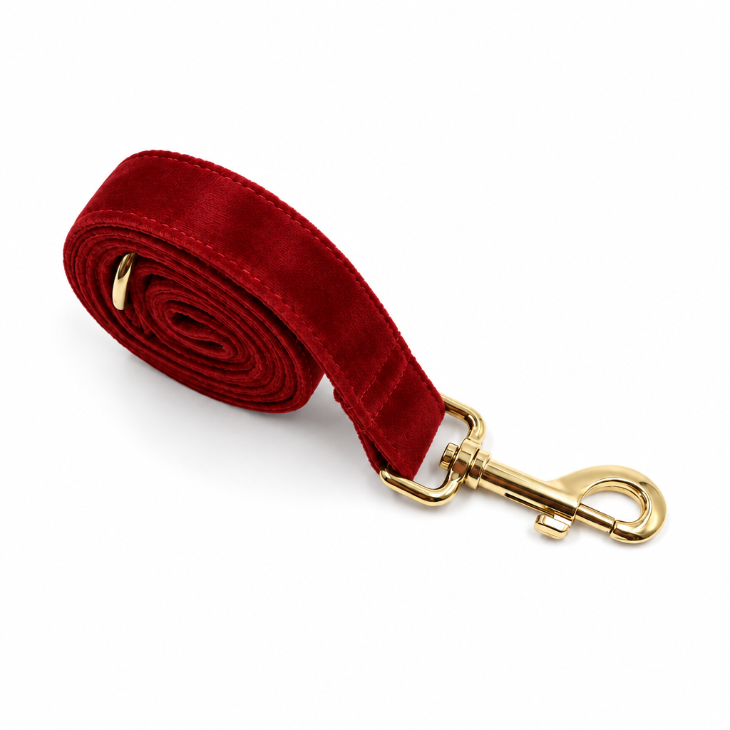 Red velvet rolled leash with gold hardware