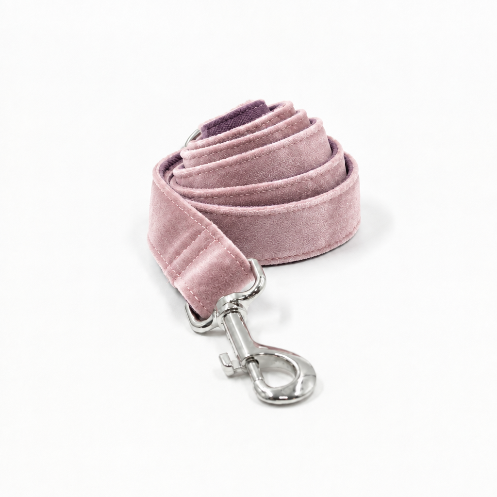 Revised blush velvet coiled leash