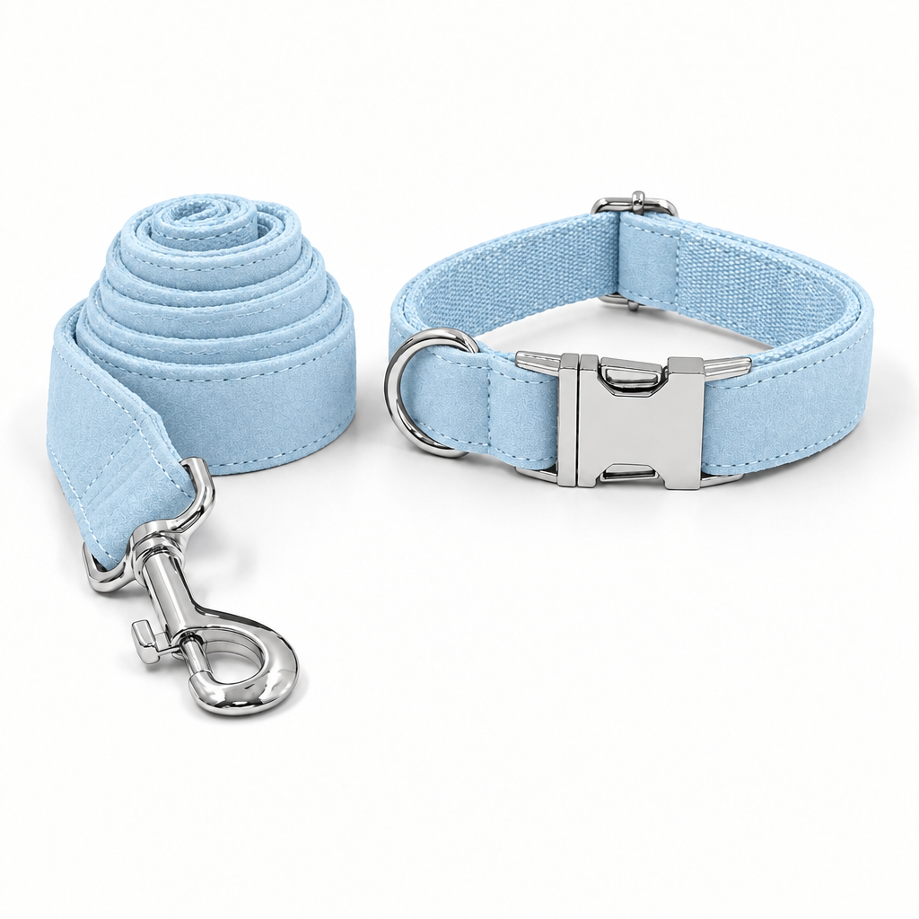 Revised light blue fine-suede collar and leash