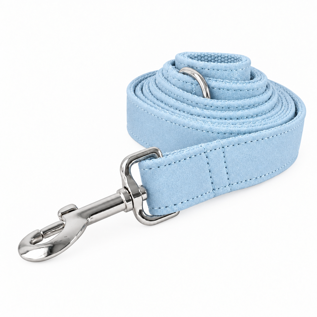 Revised light blue leash close-up