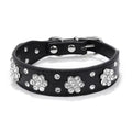 Black leather dog collar with silver rhinestone flower accents on a white background