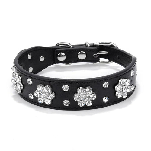 Black leather dog collar with silver rhinestone flower accents on a white background