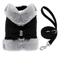 Black Plush Bow Dog Harness & Leash Set