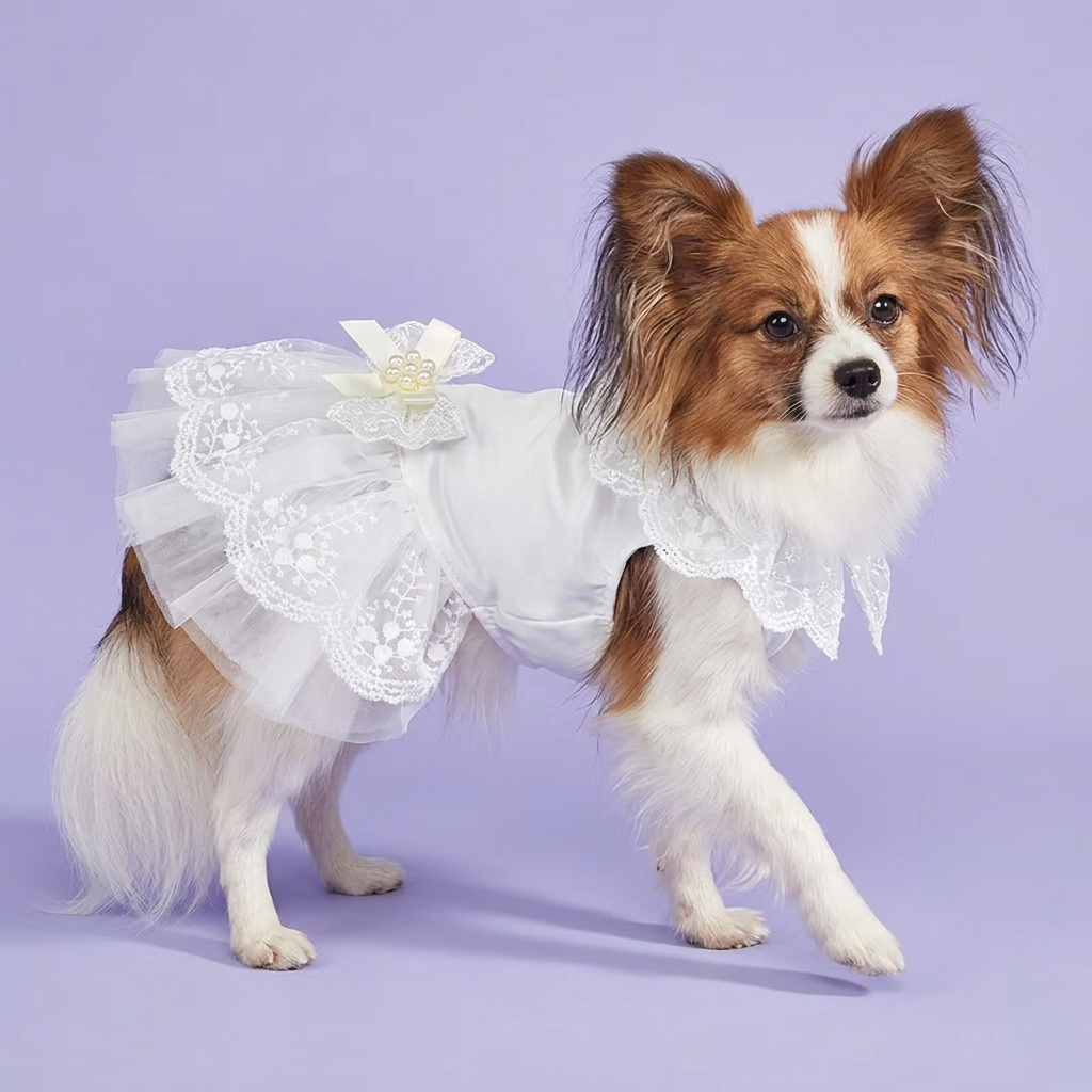 Sable Papillon gently stepping in the white lace dress