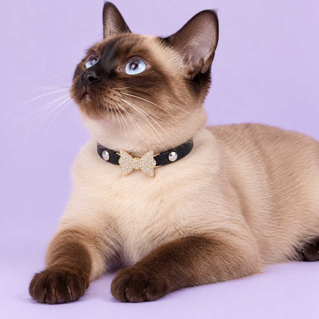 Seal-point cat reclining