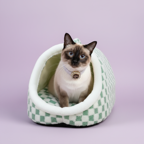 Blue-eyed Siamese cat sitting upright inside a sage green and white checkerboard plush pet igloo cave bed with cream padded entrance, wearing a rhinestone cameo collar on a soft lavender background