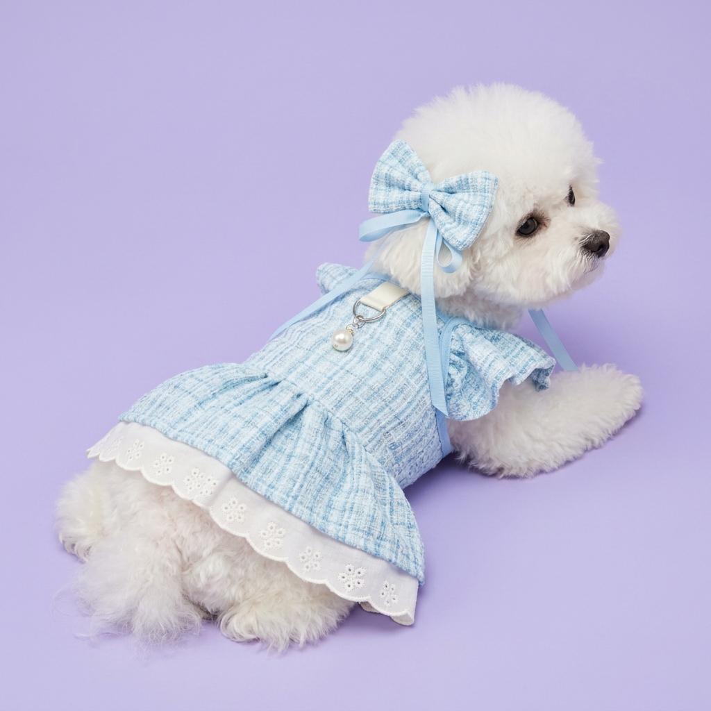 Side-lying Bichon with a head-tied bow and blue dress