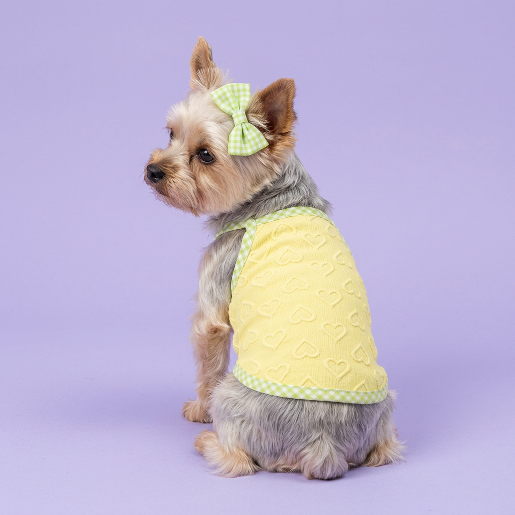 Side-sitting Yorkie wearing the yellow top and green bow