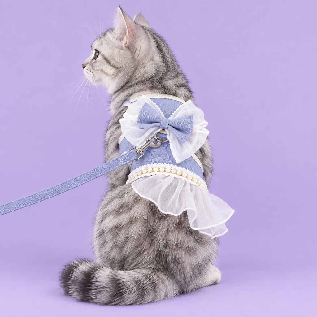 Silver tabby in blue ruffled harness on lavender