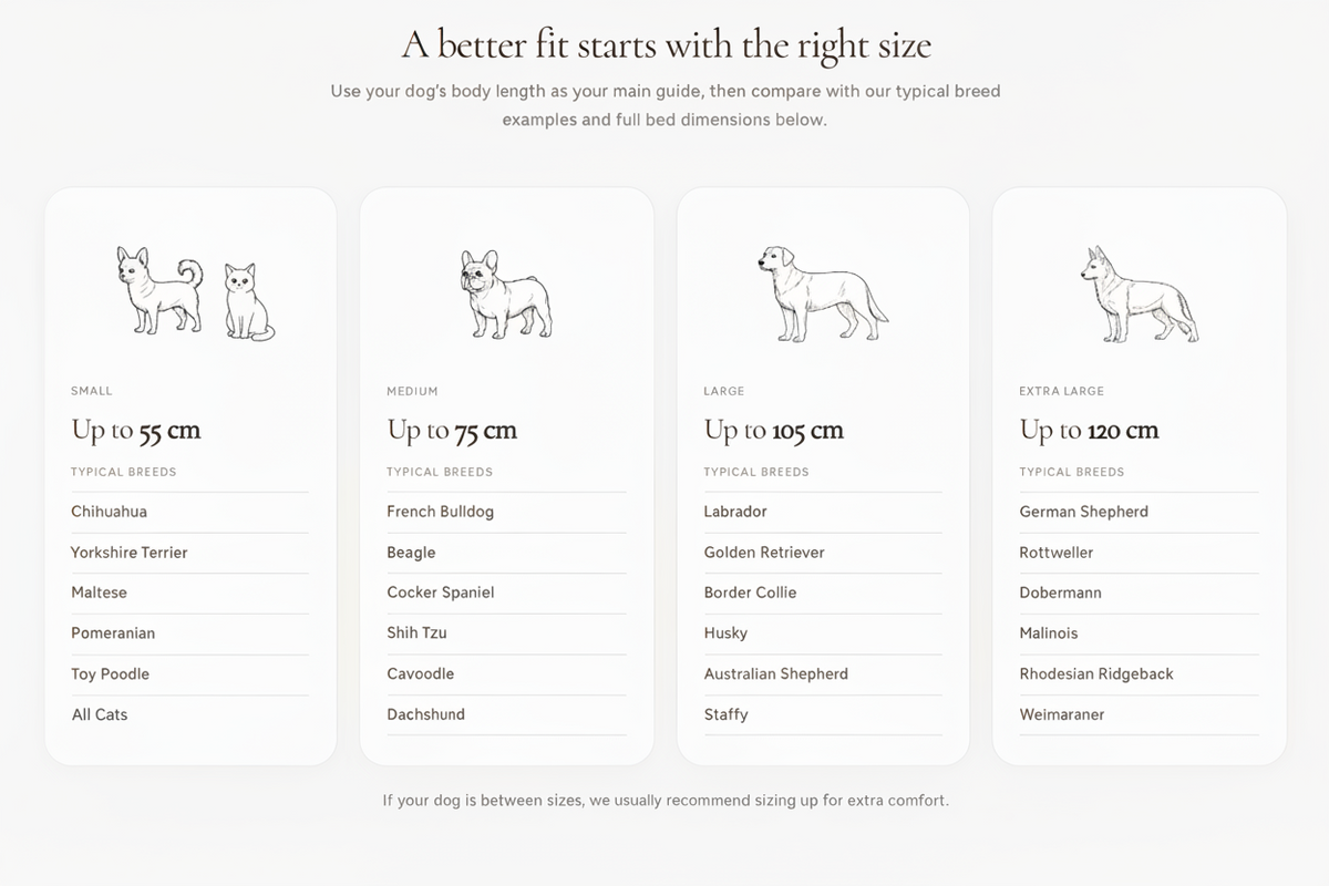 `Pet bed size guide showing four sizes — Small (up to 55 cm), Medium (up to 75 cm), Large (up to 105 cm), and Extra Large (up to 120 cm) — with breed examples including Chihuahua, French Bulldog, Labrador, and German Shepherd, plus all cats in the Small size.`