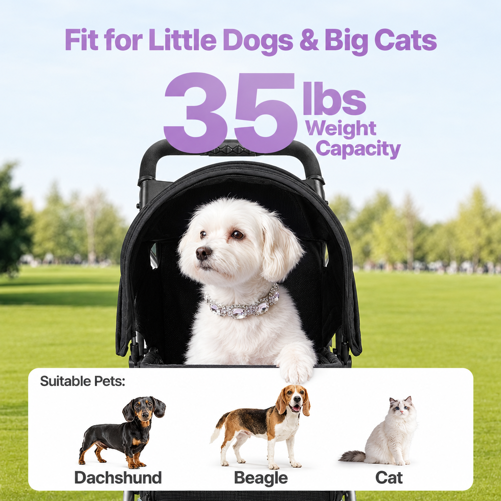 Square 35 lb stroller capacity graphic