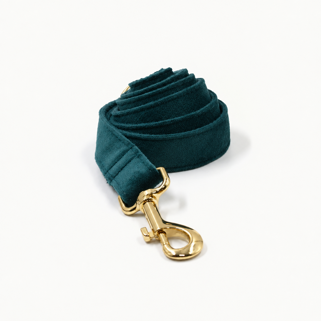 Square coiled teal leash photo