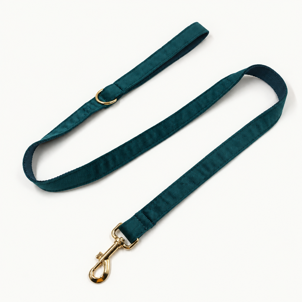 Square full teal leash photo