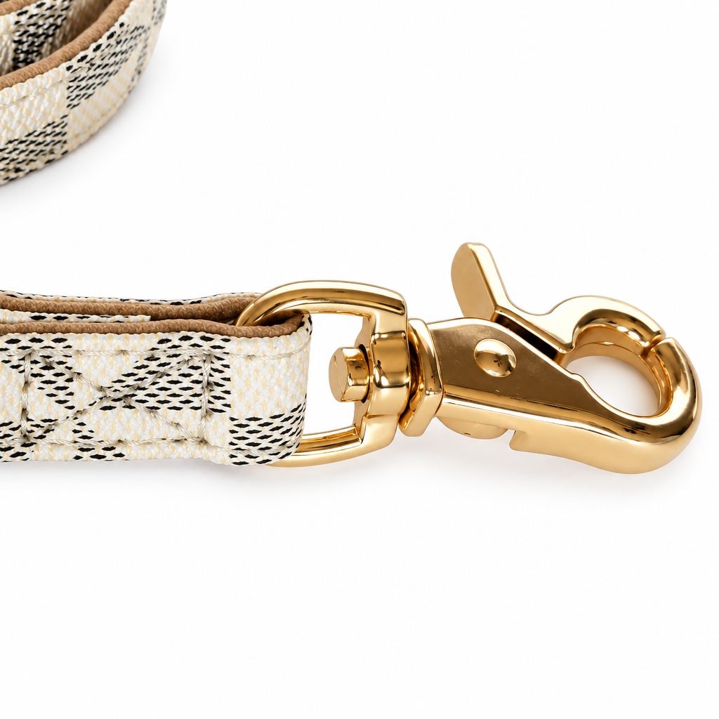 Square leash-clasp close-up on white