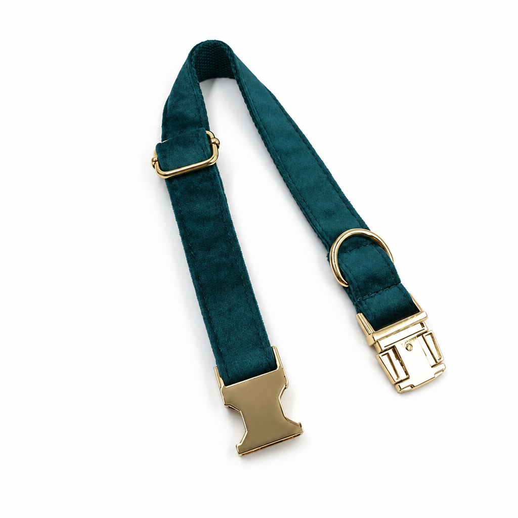 Square teal collar photo with light cleanup