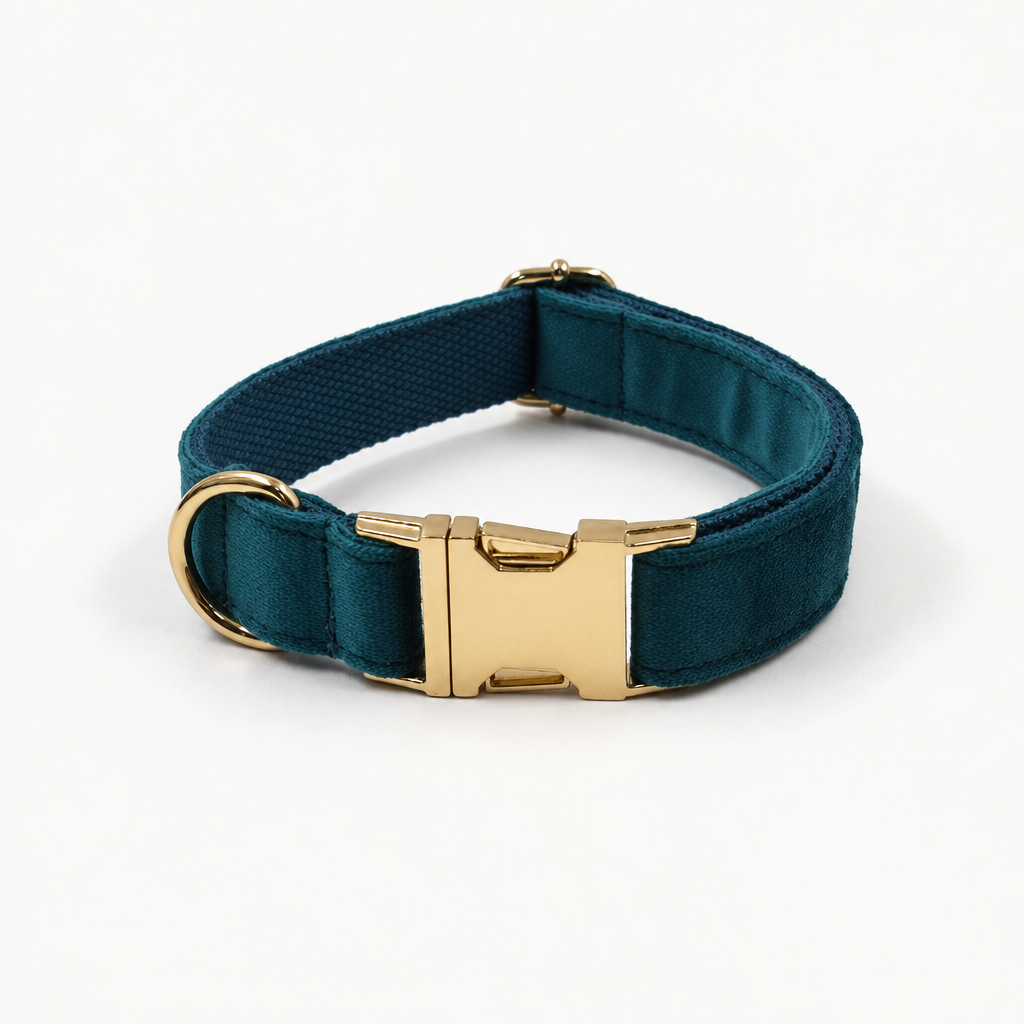 Square teal collar photo