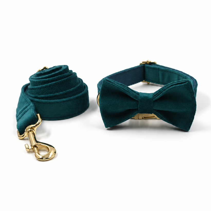 Square teal velvet collar, bow and leash set