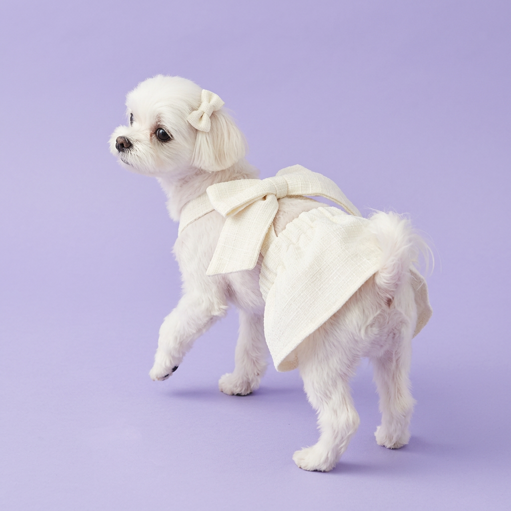 Stepping Maltese wearing the ivory bow dress