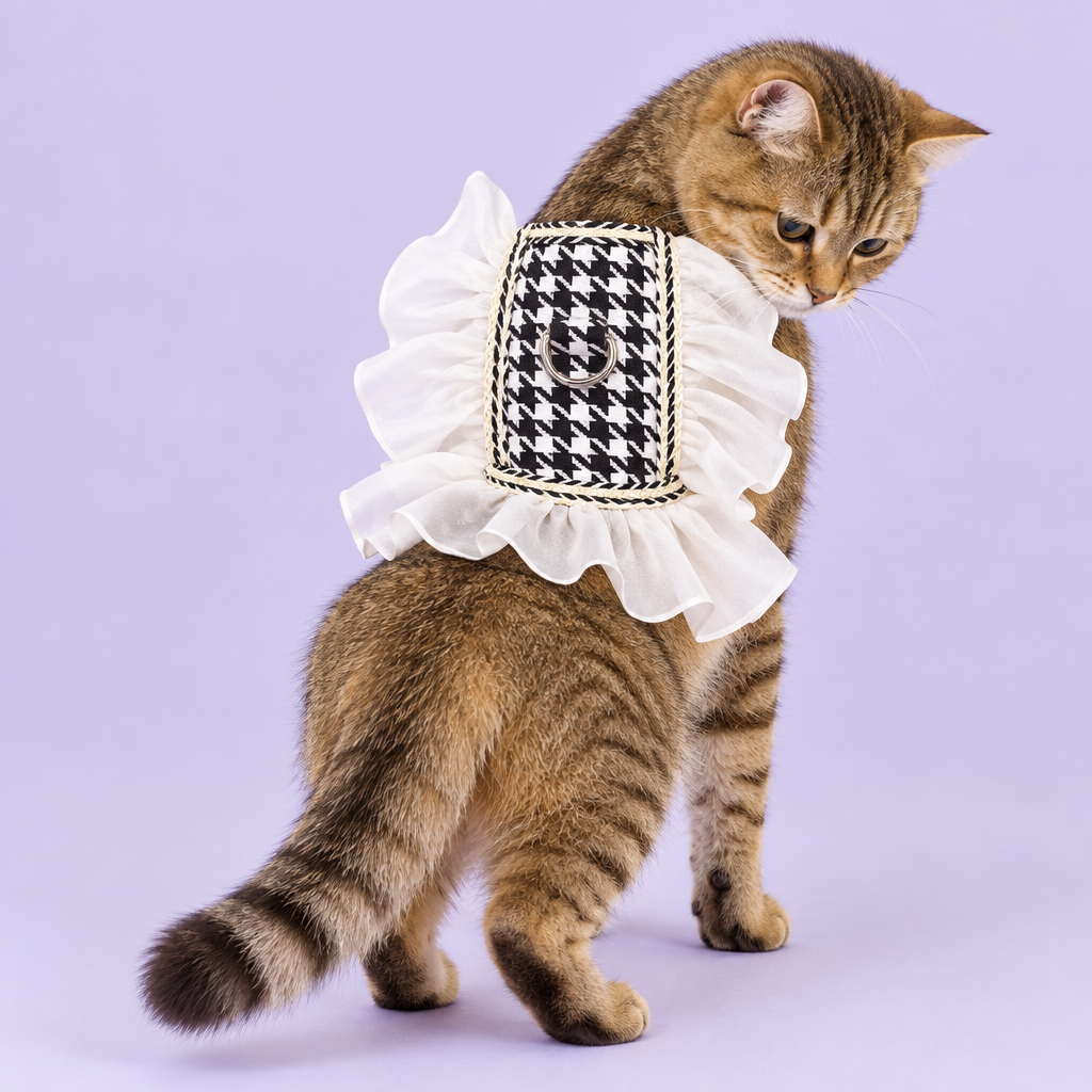 Tabby wearing houndstooth harness without leash