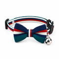 Teal collar on white background