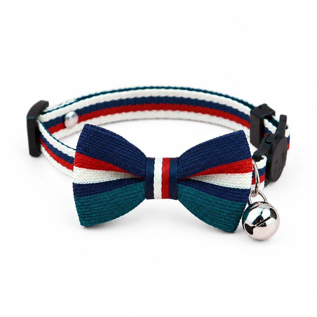 Teal collar on white background
