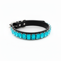 Black pet collar featuring a row of bright teal rectangular rhinestones on a white background.