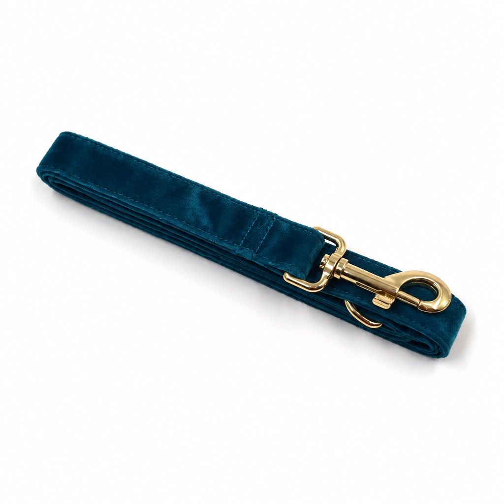 Teal velvet leash, close-up