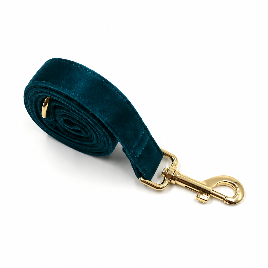 Teal velvet leash, first view