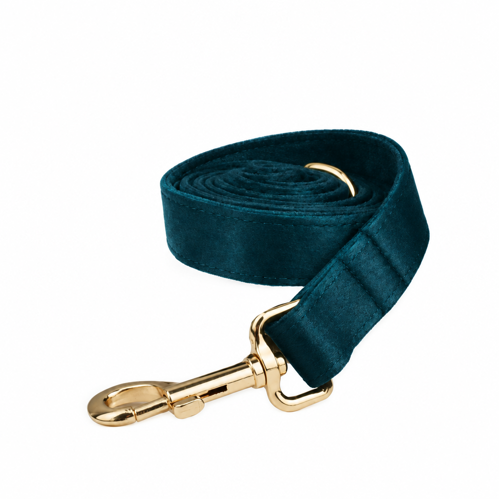 Teal velvet leash, second view
