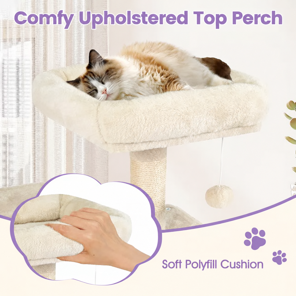 Top perch graphic with lavender accents