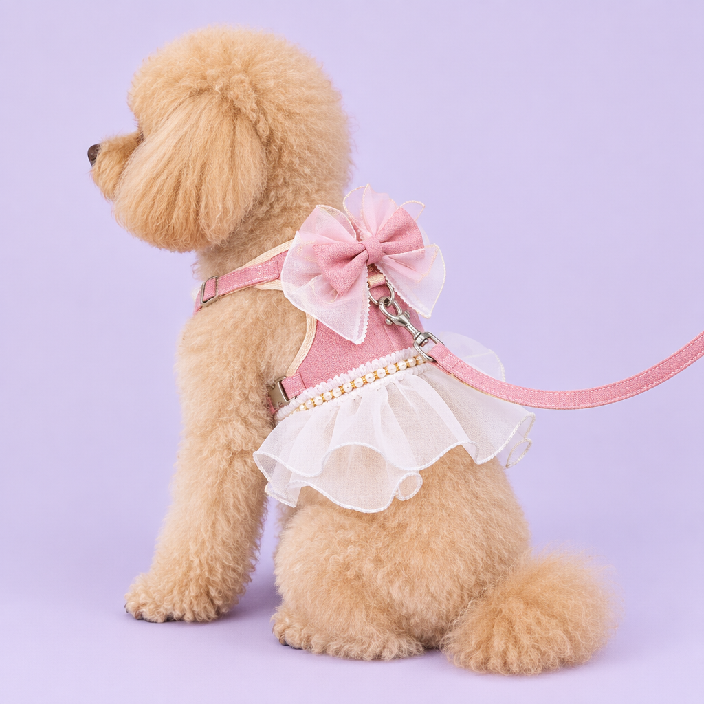 Toy poodle in pink ruffled harness