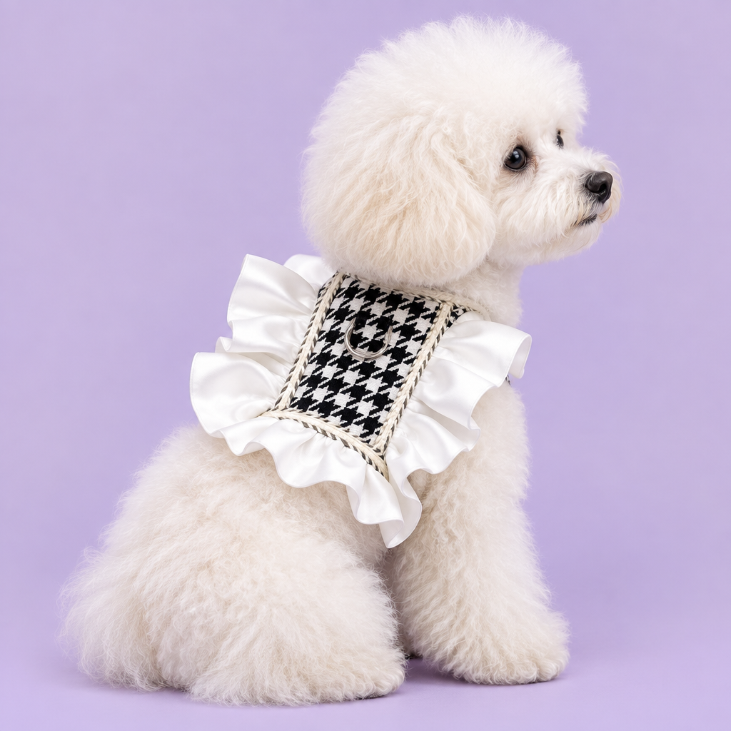Toy poodle wearing the houndstooth harness without leash