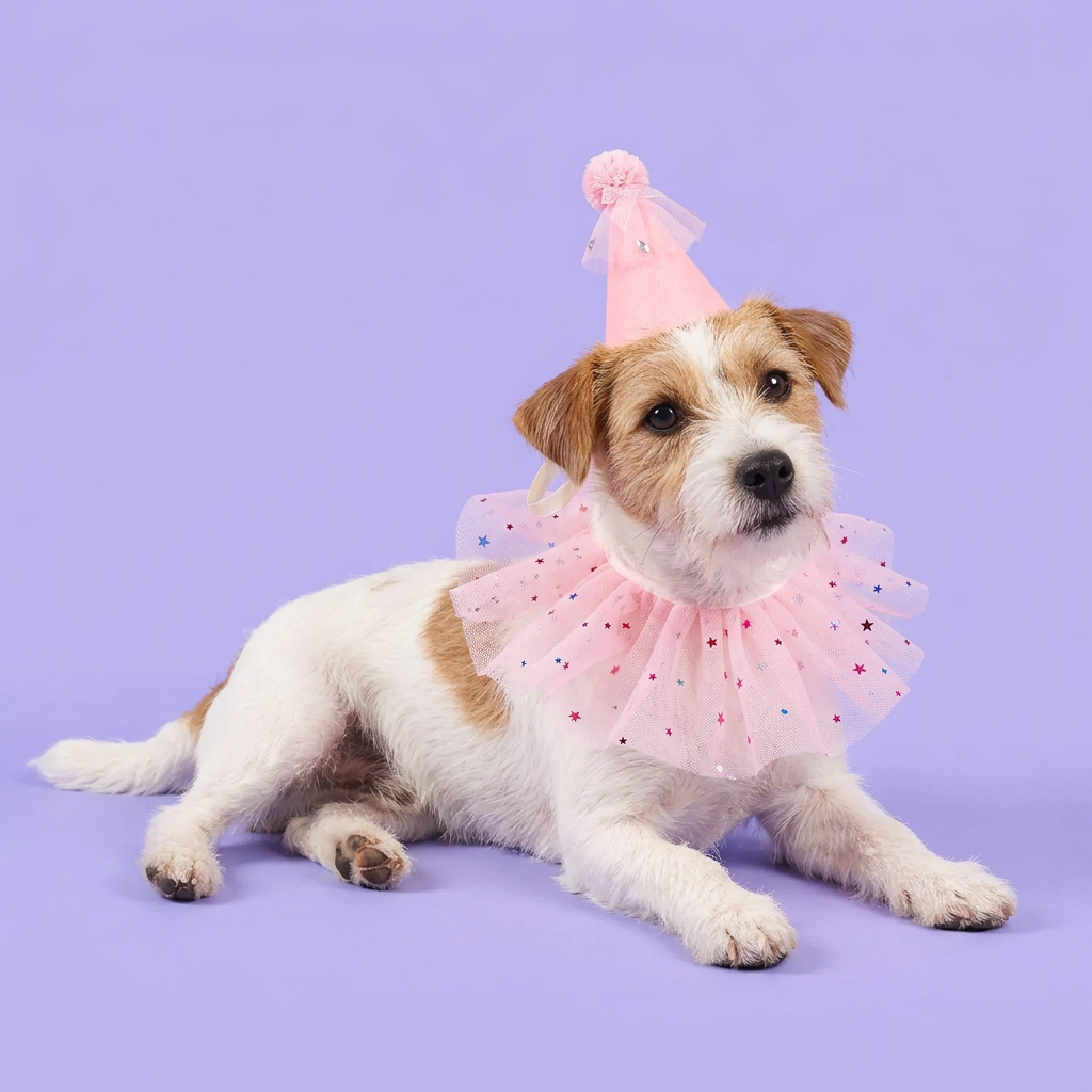 White-and-tan terrier reclining in the pink star party set