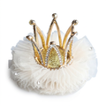 White crown hair clip on white