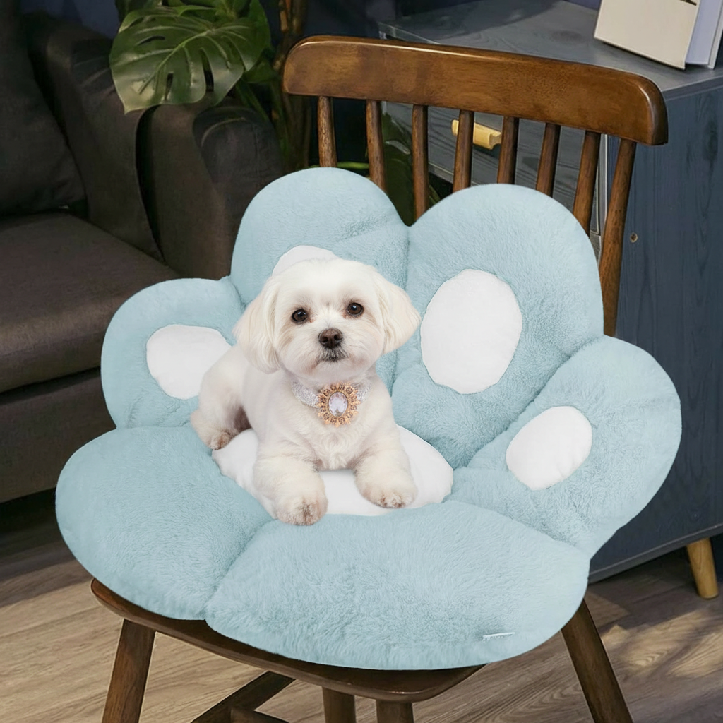White Maltese wearing a gold sunburst brooch collar sitting inside a powder blue and white plush paw-shaped pet bed cushion placed on a dark walnut wooden chair, with a dark navy sideboard, monstera plant, and light oak hardwood floors in the background