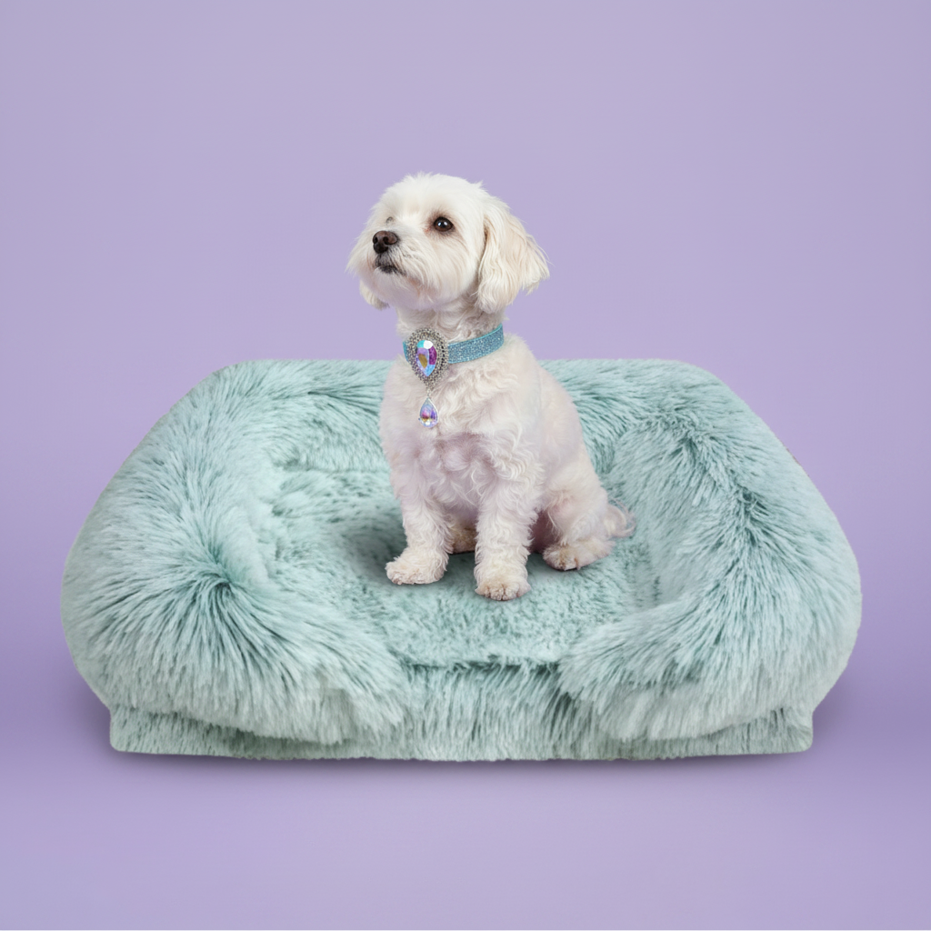 White Maltipoo dog wearing a teal rhinestone collar with an iridescent crystal and lavender teardrop pendant sitting upright on a mint teal long shaggy faux fur rectangular pet sofa bed against a soft lavender background