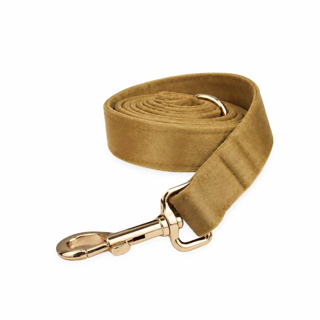 Yellow-gold velvet leash, coiled view
