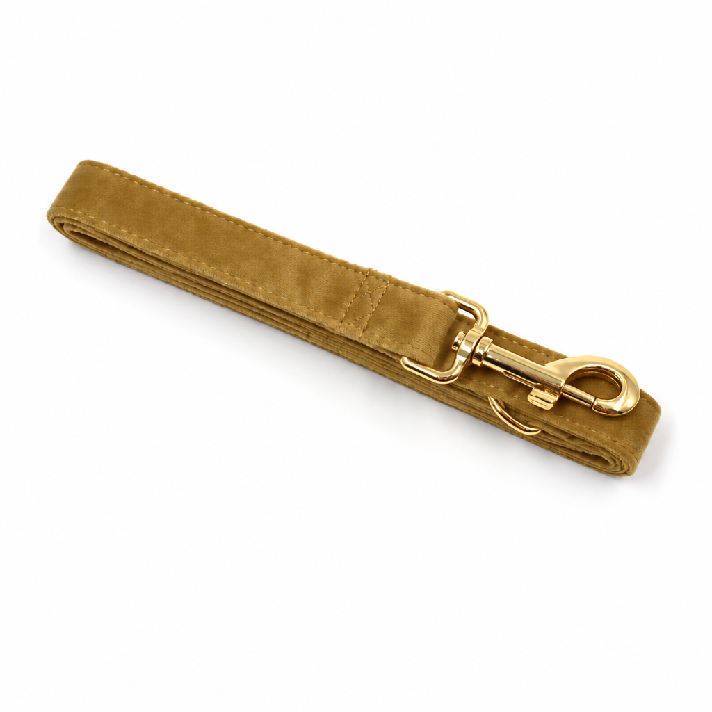 Yellow-gold velvet leash, folded view