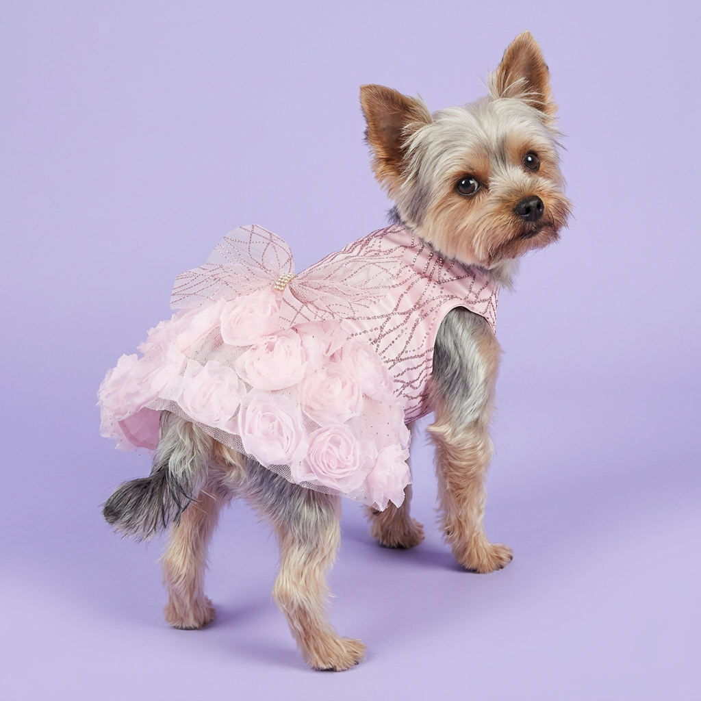 Yorkie wearing the pink rosette dress