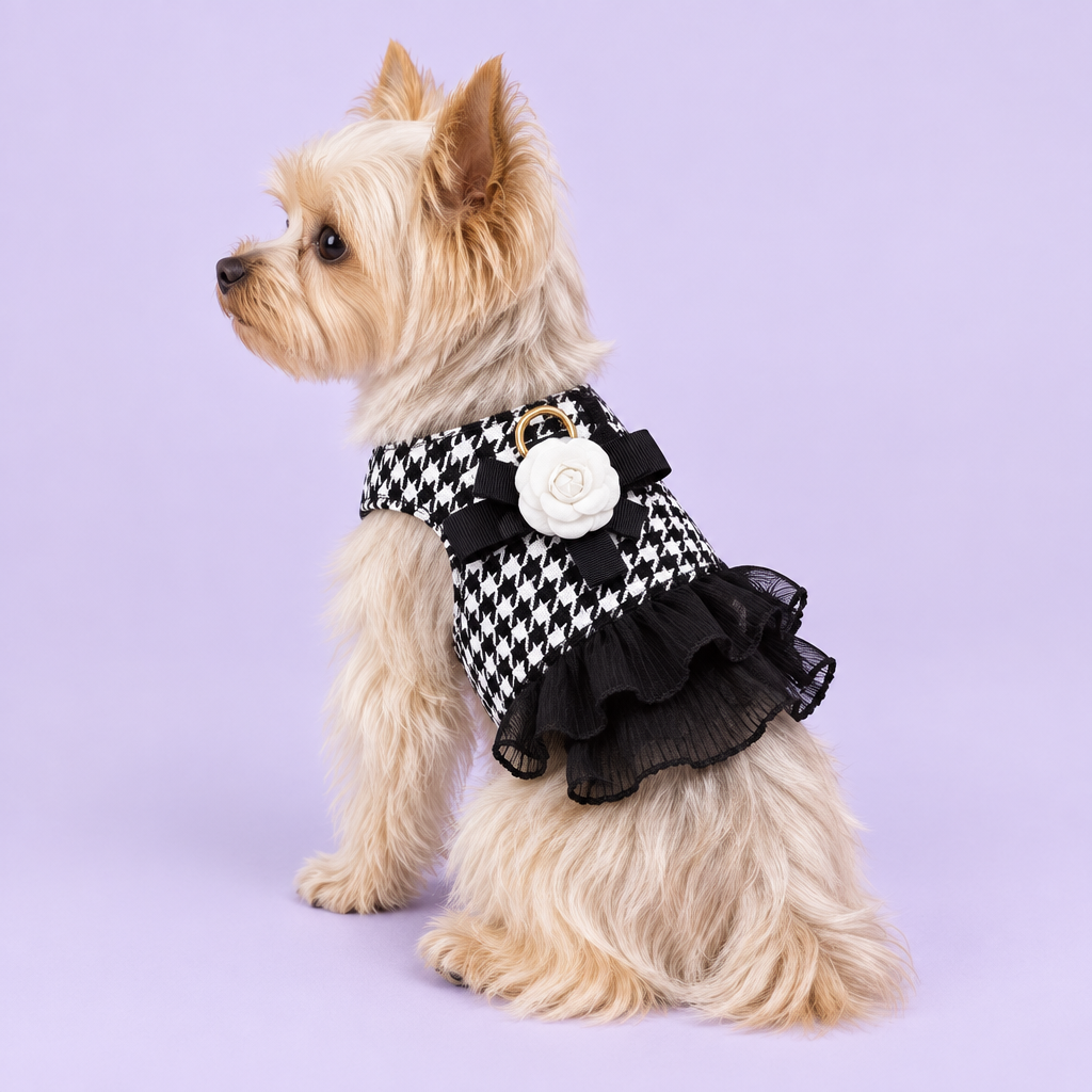 Yorkshire terrier wearing houndstooth harness without leash
